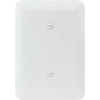 Titan3 1-Gang Maxi Smooth Blank Wall Plate (White)