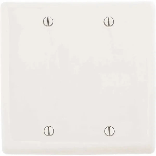 Hubbell 2-Gang Medium Size Box Mount Blank Wall Plate (White)