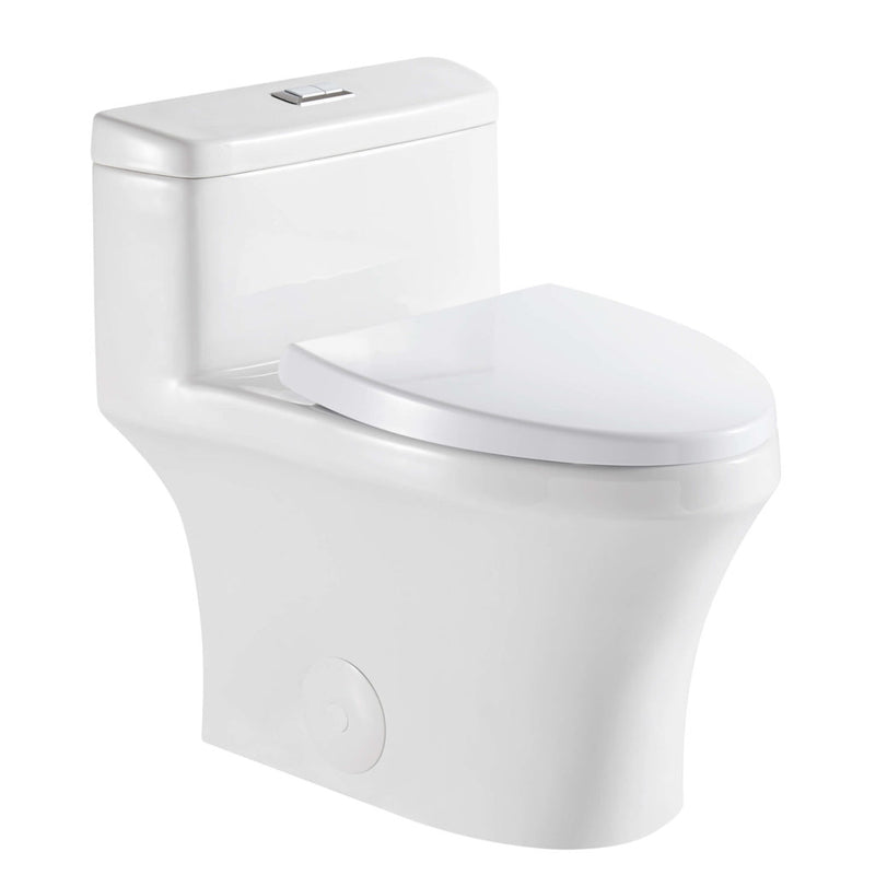 MOTB17 - 19″ x 28″