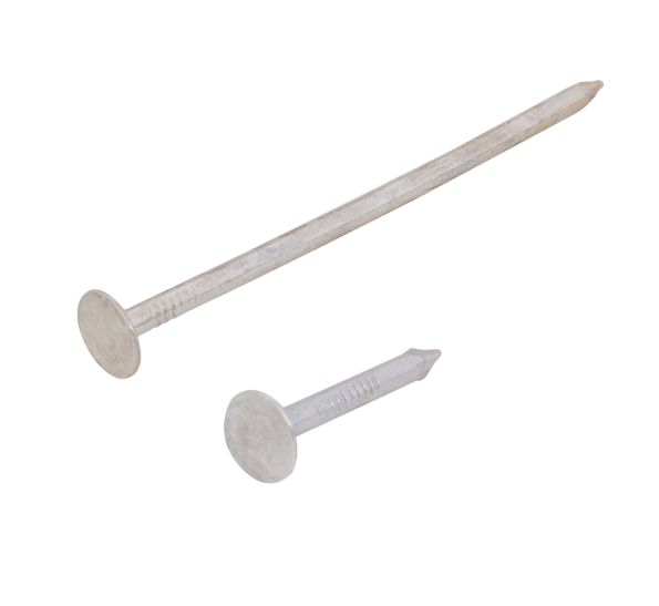 EG Roofing Nails - 1LB Box
