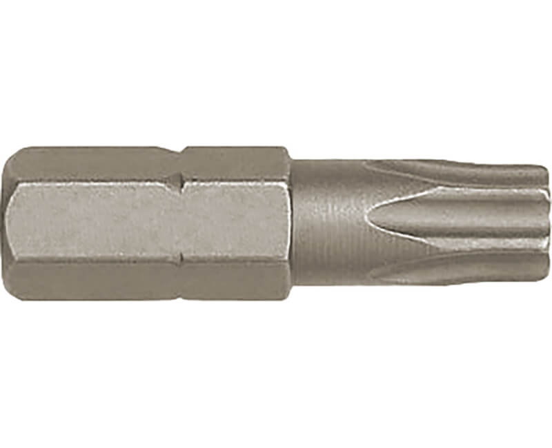 Torx Insert Bits